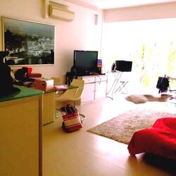 Cavenagh House (D9), Apartment #429142491